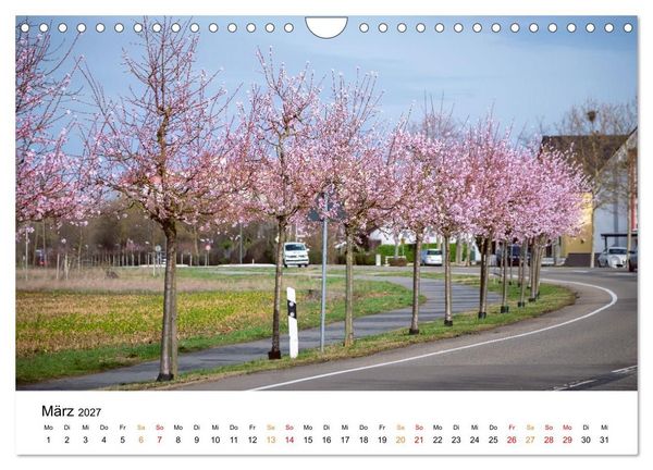 Produktbild: Die Hufeisengemeinde Br&uuml;hl (Wandkalender 2027 DIN A4 quer), CALVENDO Monatskalender