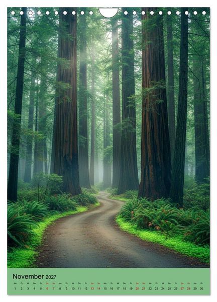 Produktbild: Sequoia Giganten (Wandkalender 2027 DIN A4 hoch), CALVENDO Monatskalender
