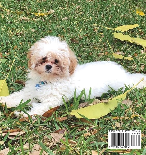 Produktbild: Scotty Gets a Puppy