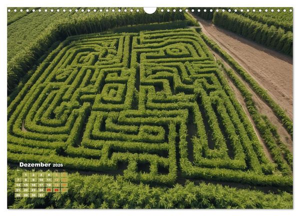 Produktbild: Wundersch&ouml;ne Cannabisfelder (Wandkalender 2026 DIN A3 quer), CALVENDO Monatskalender