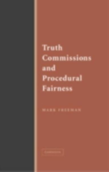 Produktbild: Truth Commissions and Procedural Fairness