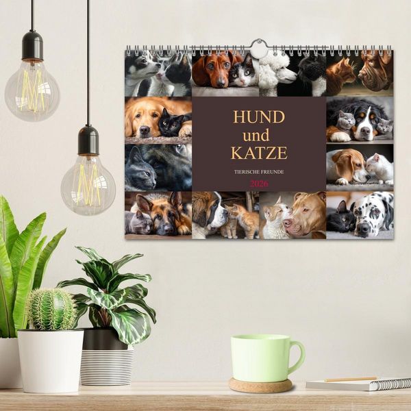 Produktbild: Hund und Katze - Tierische Freunde (Wandkalender 2026 DIN A4 quer), CALVENDO Monatskalender