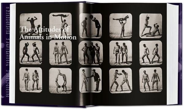 Produktbild: Muybridge. The Human and Animal Locomotion Photographs