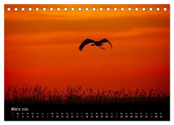 Produktbild: Ostseeregion Dar&szlig;-Zingst (Tischkalender 2026 DIN A5 quer), CALVENDO Monatskalender
