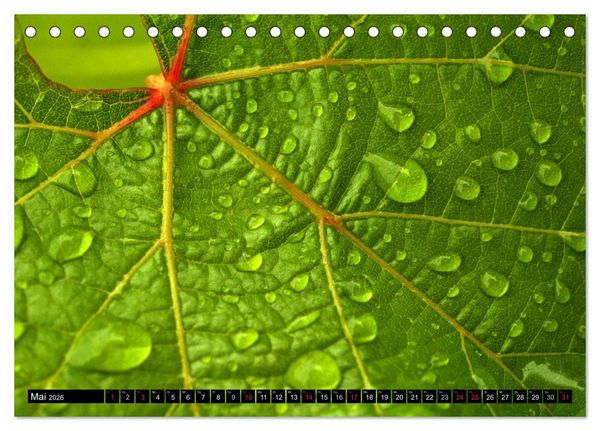 Produktbild: Wassertropfen - Diamanten des Lebens (Tischkalender 2026 DIN A5 quer), CALVENDO Monatskalender