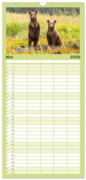 Produktbild: Familienplaner 2026 - B&auml;ren - Pandas, Grizzlyb&auml;ren und Co. mit 5 Spalten (Wandkalender, 21 x 45 cm) CALVENDO