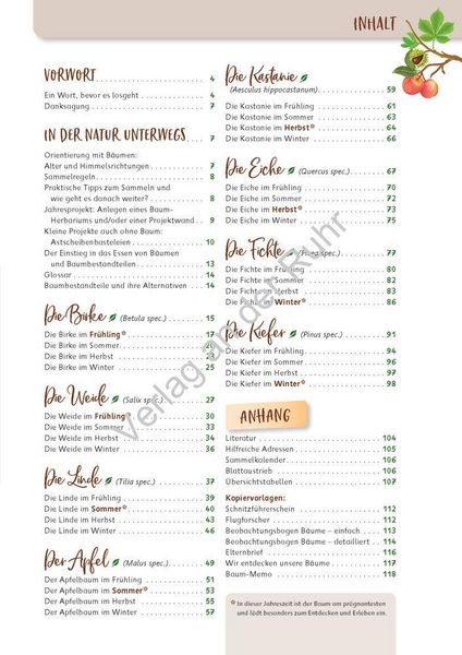 Produktbild: Paket: Heimische B&auml;ume