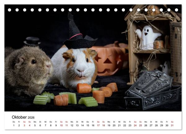 Produktbild: Unsere Meerschweinchen (Tischkalender 2026 DIN A5 quer), CALVENDO Monatskalender