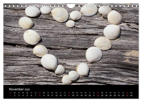 Produktbild: Strandgut und Meer 2026 (Wandkalender 2026 DIN A4 quer), CALVENDO Monatskalender