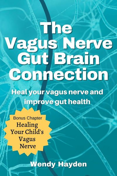 Produktbild: The Vagus Nerve Gut Brain Connection