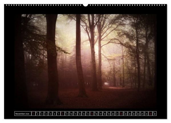 Produktbild: Der Reichswald bei Kleve (hochwertiger Premium Wandkalender 2026 DIN A2 quer), Kunstdruck in Hochglanz