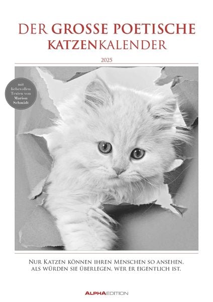 Der große poetische Katzenkalender 2025 - Bildkalender A3 (29,7x42 cm) - mit schönen Zitaten - schwarz-weiß - Tierkalend