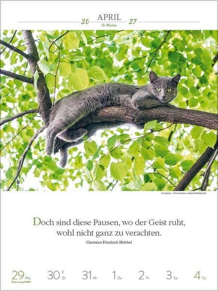 Produktbild: Literaturkalender Katzen 2027