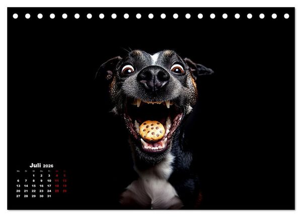 Produktbild: Leckerchen! (Tischkalender 2026 DIN A5 quer), CALVENDO Monatskalender