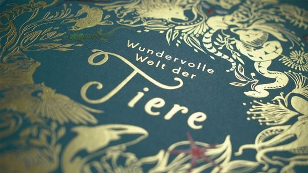 Produktbild: Wundervolle Welt der Tiere