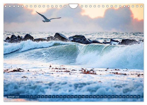 Produktbild: Helgoland - Das Leben auf der D&uuml;ne Helgolands (Wandkalender 2026 DIN A4 quer), CALVENDO Monatskalender