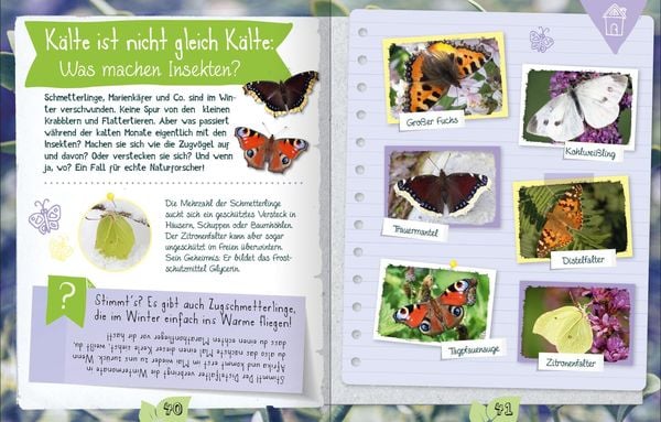 Produktbild: Naturforscher im Winter