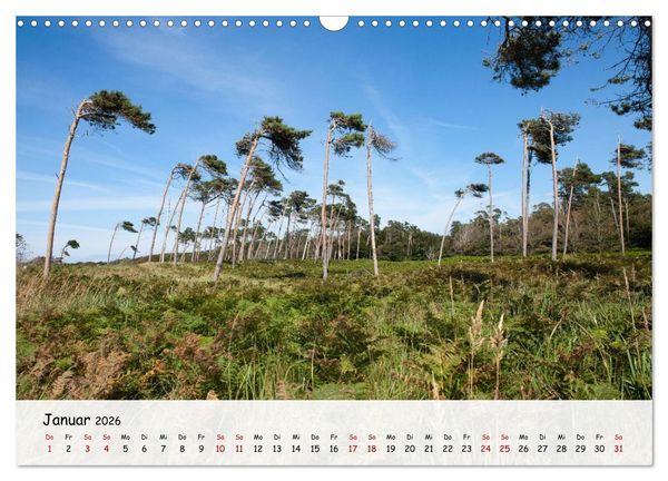 Produktbild: Fischland-Dar&szlig;-Zingst - Zwischen Bodden und Ostsee (Wandkalender 2026 DIN A3 quer), CALVENDO Monatskalender