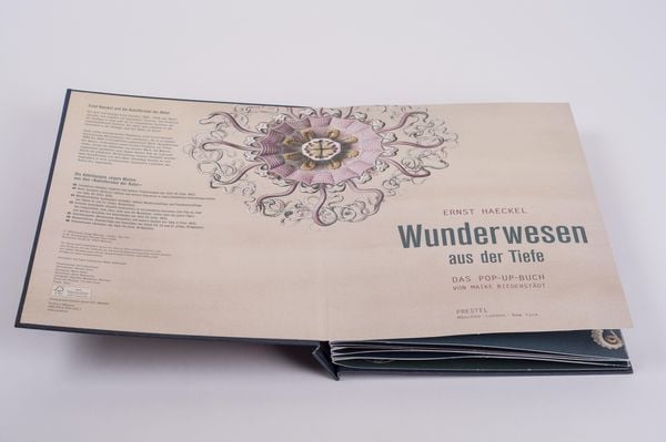 Produktbild: Wunderwesen aus der Tiefe. Ernst Haeckel