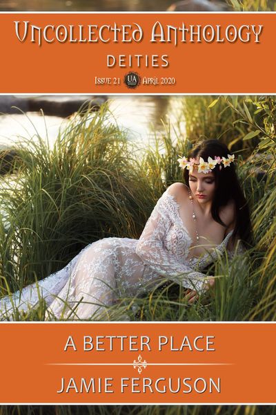 Produktbild: A Better Place (Uncollected Anthology, #21)
