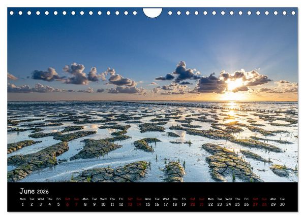 Produktbild: Moody calendar (Wall Calendar 2026 DIN A4 landscape), CALVENDO 12 Month Wall Calendar