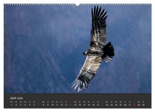 Produktbild: Peru 2026 Im Land des Kondors (hochwertiger Premium Wandkalender 2026 DIN A2 quer), Kunstdruck in Hochglanz