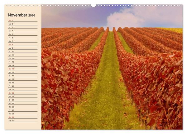 Produktbild: Weinanbau. Von der Traube zum Wein (Wandkalender 2026 DIN A2 quer), CALVENDO Monatskalender