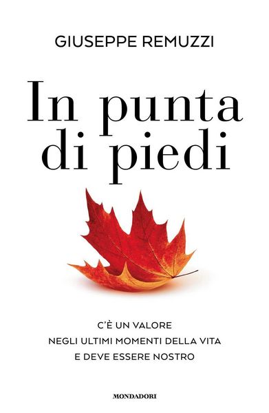 Produktbild: In punta di piedi