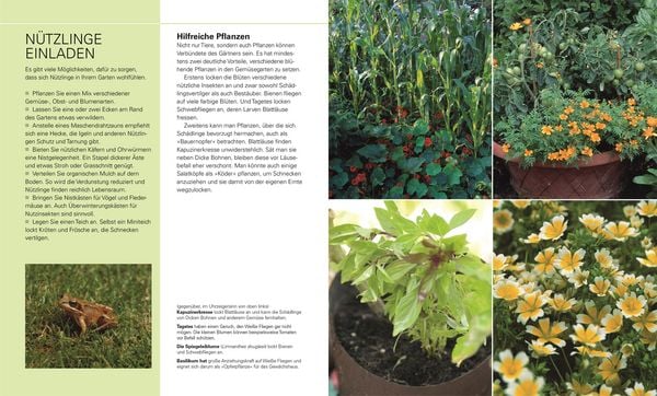 Produktbild: Gem&uuml;se f&uuml;r jeden Garten