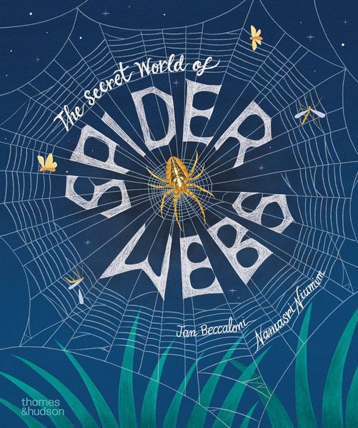 Produktbild: The Secret World of Spiderwebs