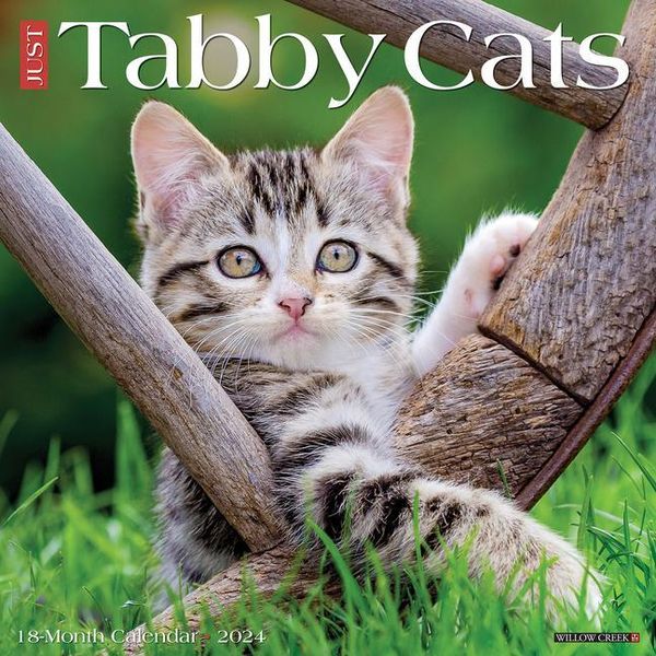 Just Tabby Cats 2024 12 X 12 Wall Calendar Tierkalender 8062
