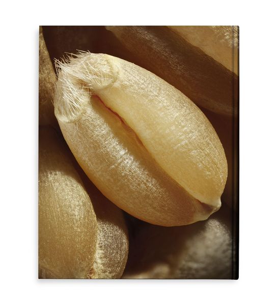 Produktbild: Modernist Bread
