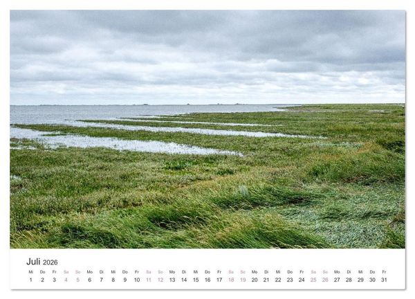 Produktbild: Hamburger Hallig - Der Weg ist das Ziel (Wandkalender 2026 DIN A3 quer), CALVENDO Monatskalender