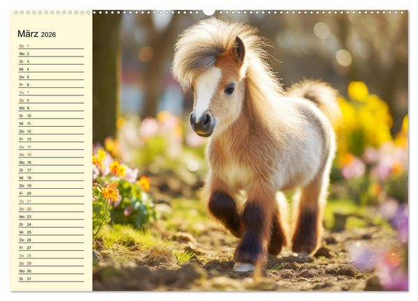 Produktbild: Kleine Pferde. Mini-Ponys zum verlieben (hochwertiger Premium Wandkalender 2026 DIN A2 quer), Kunstdruck in Hochglanz
