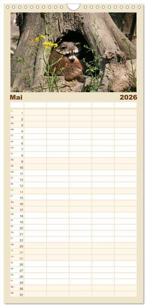 Produktbild: Familienplaner 2026 - Waschb&auml;ren mit 5 Spalten (Wandkalender, 21 x 45 cm) CALVENDO