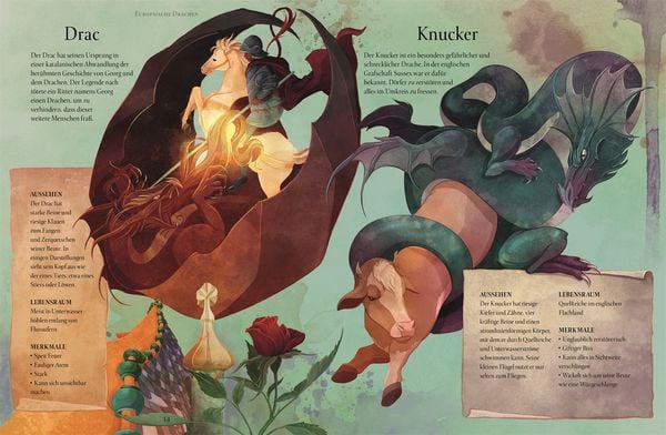 Produktbild: Magische Welt der Drachen