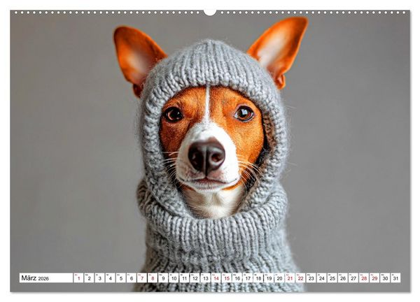 Produktbild: Strick-Pfoten - Flauschige Freunde in gestrickten Meisterwerken (hochwertiger Premium Wandkalender 2026 DIN A2 quer), Kunstdruck in Hochglanz