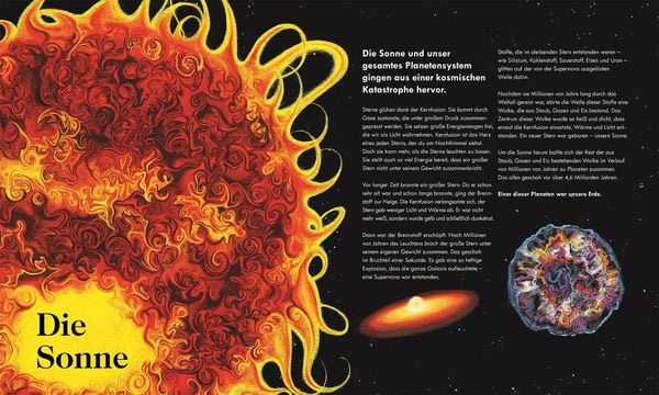 Produktbild: Das Wunder des Lebens