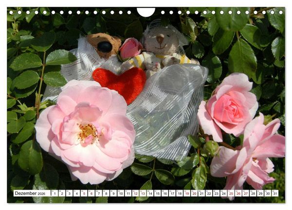 Produktbild: Die Hochzeitsb&auml;rchen (Wandkalender 2026 DIN A4 quer), CALVENDO Monatskalender