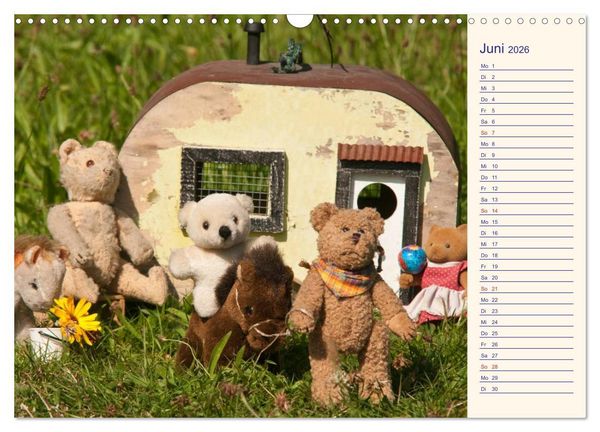 Produktbild: Geliebte B&auml;ren - Teddys (Wandkalender 2026 DIN A3 quer), CALVENDO Monatskalender