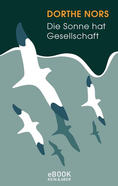Produktbild: Die Sonne hat Gesellschaft