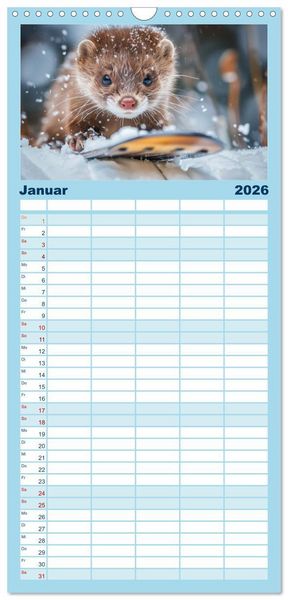 Produktbild: Familienplaner 2026 - Kleine freche Nerze mit 5 Spalten (Wandkalender, 21 x 45 cm) CALVENDO