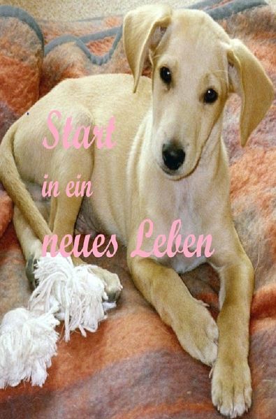Produktbild: Start in ein neues Leben