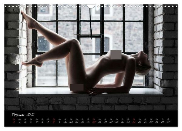 Produktbild: PinUp-Kalender 2026 (Wandkalender 2026 DIN A3 quer), CALVENDO Monatskalender