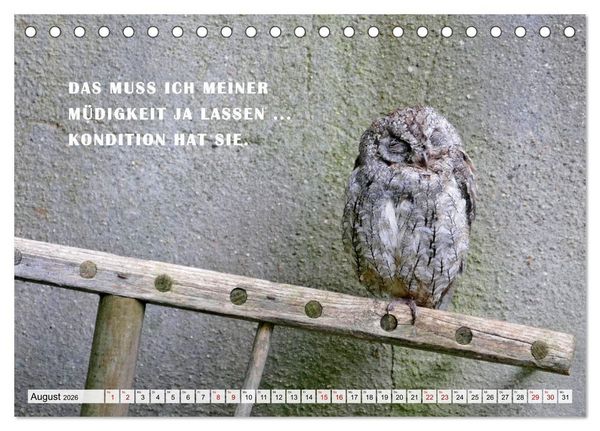Produktbild: M&uuml;de, faul und arbeitsscheu (Tischkalender 2026 DIN A5 quer), CALVENDO Monatskalender