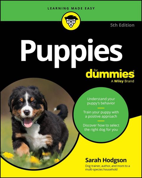 Produktbild: Puppies For Dummies