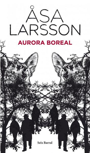 Produktbild: Aurora boreal