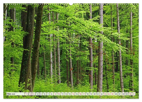 Produktbild: Hegau-Landschaften (Wandkalender 2026 DIN A2 quer), CALVENDO Monatskalender