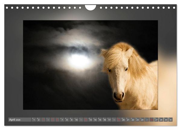 Produktbild: Pferde Vom Minishetty bis zum Kaltblut (Wandkalender 2026 DIN A4 quer), CALVENDO Monatskalender