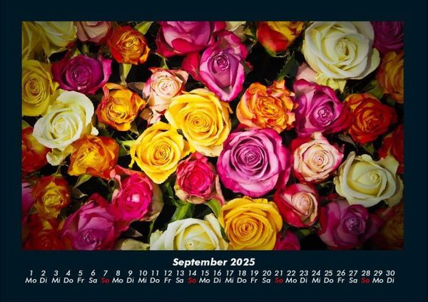 Produktbild: Rosen-Kalender 2025 Fotokalender DIN A4